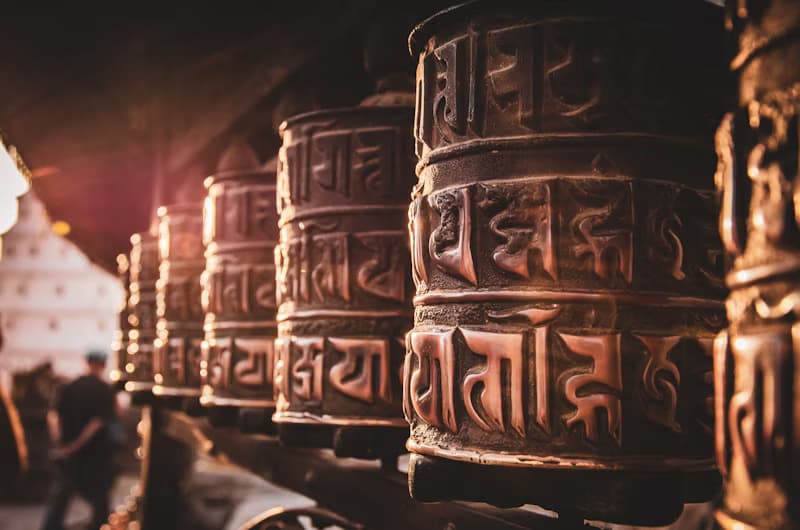 Travel packages