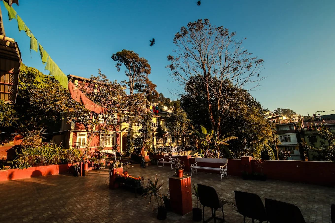 Darjeeling to Lachung Via Gangtok: The North East Circuit [avianna + shire + verdant]