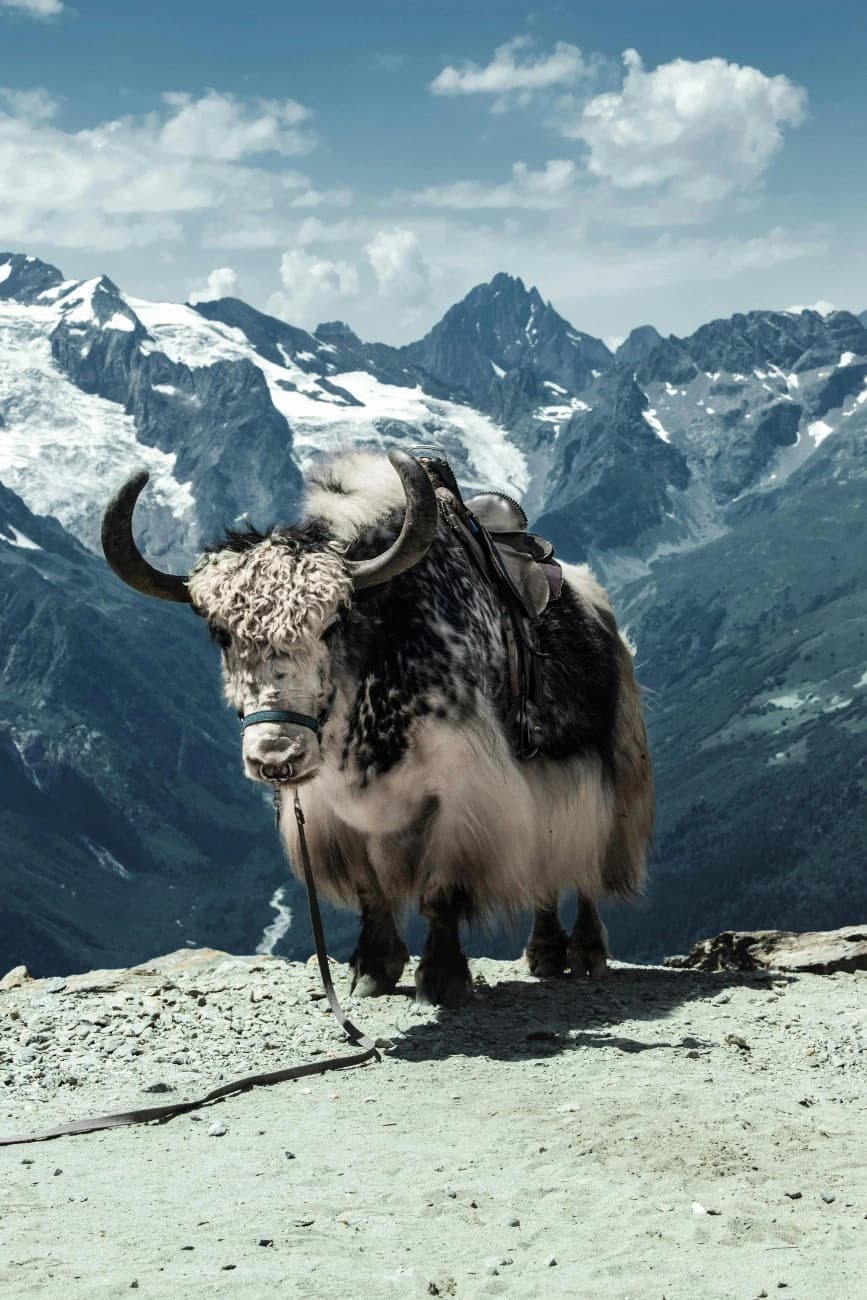North Sikkim